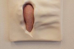 laatse-foto1-4BIE-GARCET