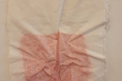 laatse-foto1-6BIE-GARCET